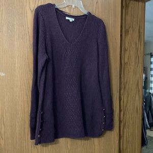 Sonoma XL purple sweater. Smoke free pet friendly home.
